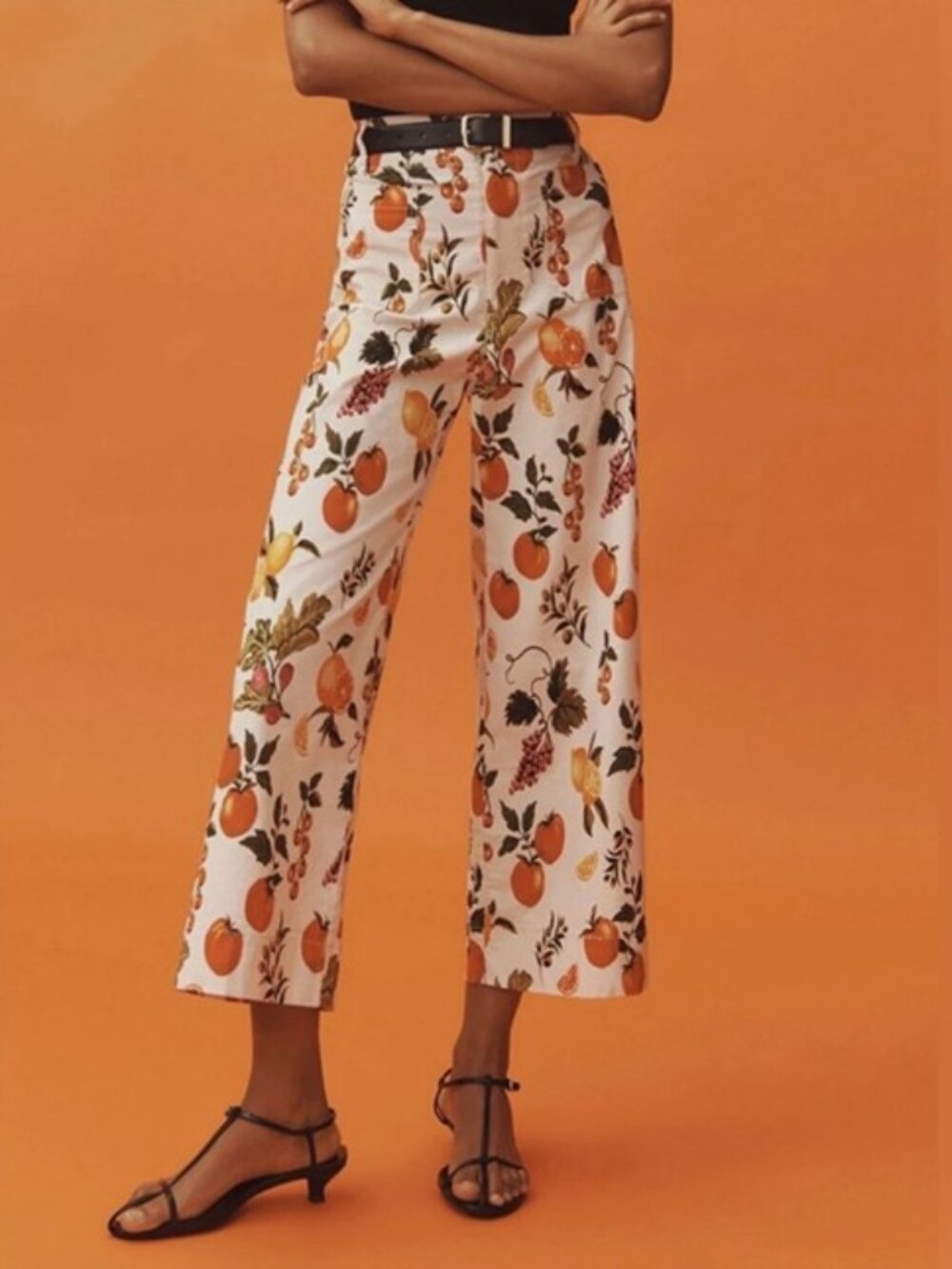 RARE Anthropologie Maeve Colette Magic Fabric Crop Wide Leg Market Fruit Pant 25